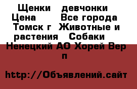 Щенки - девчонки › Цена ­ 2 - Все города, Томск г. Животные и растения » Собаки   . Ненецкий АО,Хорей-Вер п.